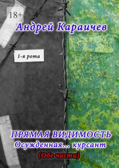 Прямая видимость - Андрей Караичев