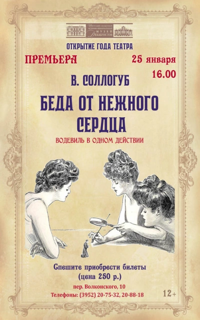 Беда от нежного сердца - Владимир Соллогуб