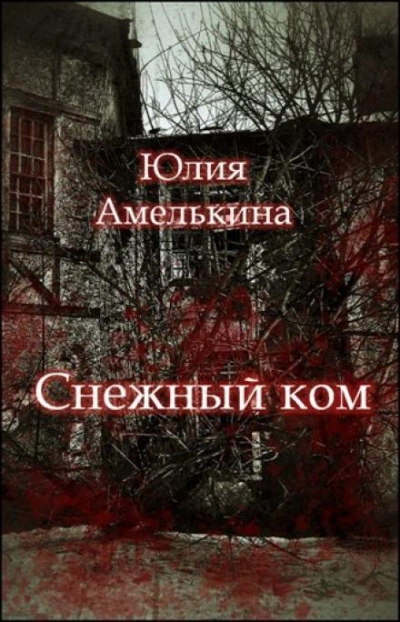 Снежный ком - Юлия Амелькина