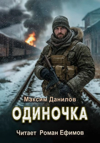 Одиночка - Максим Данилов