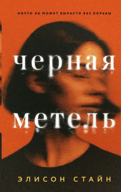 Черная метель - Элисон Стайн