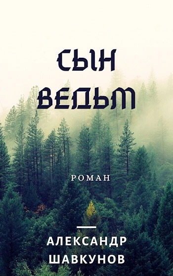 Последствия. Сын Ведьм - Александр Шавкунов